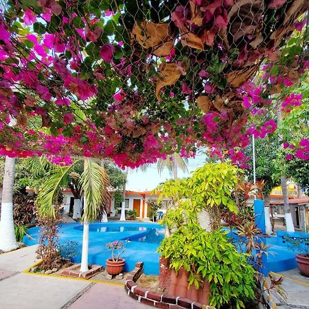 Hotel Oasis Melaque San Patricio - Melaque Extérieur photo